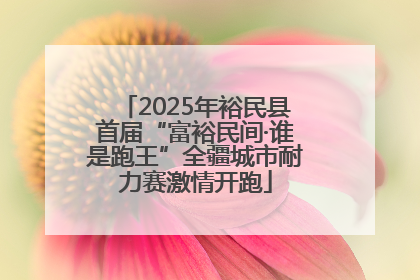 2025年裕民县首届“富裕民间·谁是跑王”全疆城市耐力赛激情开跑