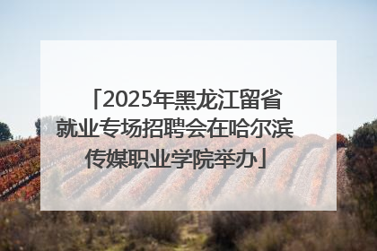 2025年黑龙江留省就业专场招聘会在哈尔滨传媒职业学院举办