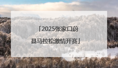 2025张家口蔚县马拉松激情开赛