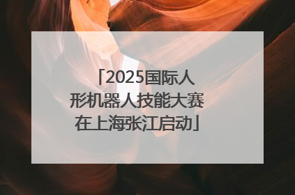 2025国际人形机器人技能大赛在上海张江启动