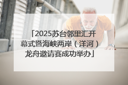 2025苏台邻里汇开幕式暨海峡两岸（洋河）龙舟邀请赛成功举办