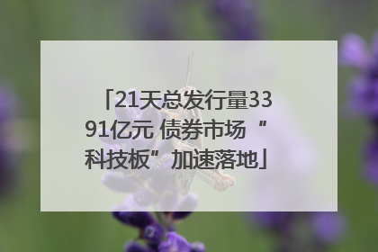 21天总发行量3391亿元 债券市场“科技板”加速落地
