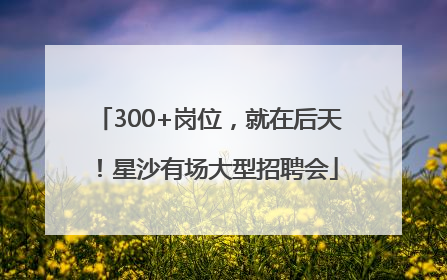 300+岗位，就在后天！星沙有场大型招聘会