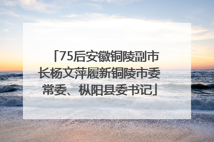 75后安徽铜陵副市长杨文萍履新铜陵市委常委、枞阳县委书记