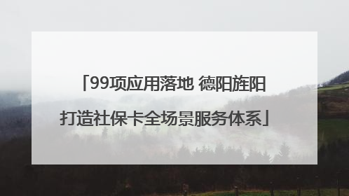 99项应用落地 德阳旌阳打造社保卡全场景服务体系
