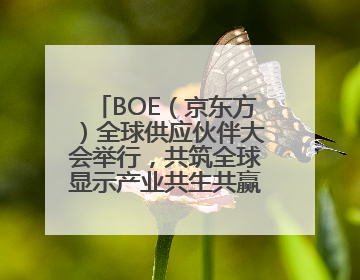 BOE（京东方）全球供应伙伴大会举行，共筑全球显示产业共生共赢新格局